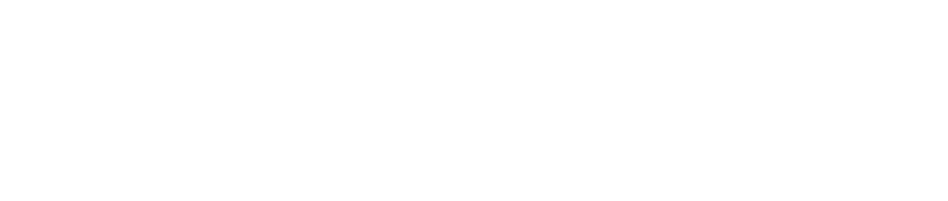Manek Shipping
